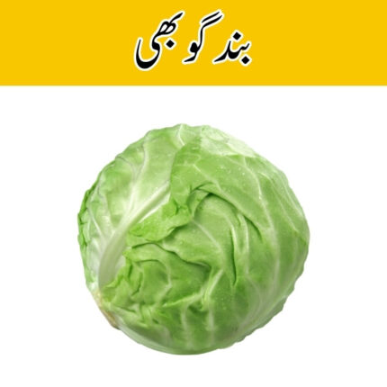 Cabbage (Bund Gobhi) price in karachi