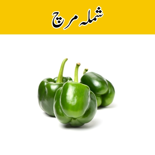 Capsicum (Shimla Mirch) price in karachi