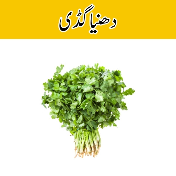 Coriander (Hara Dhania) price in karachi