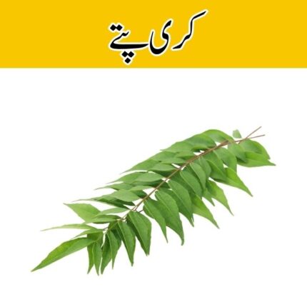 Curry Leaf (Kari Patta) price in karachi