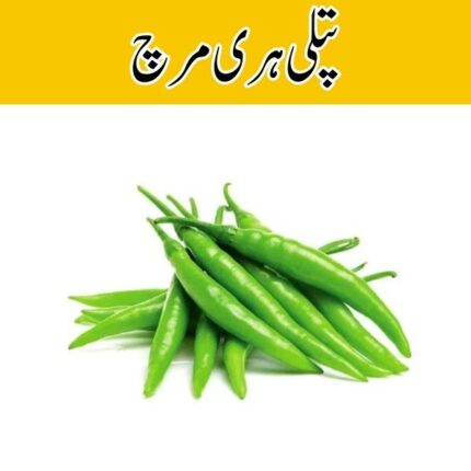 Hari Mirch Patli price in karachi