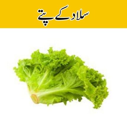 Lettuce Leaves (Salad Patta) price in karachi